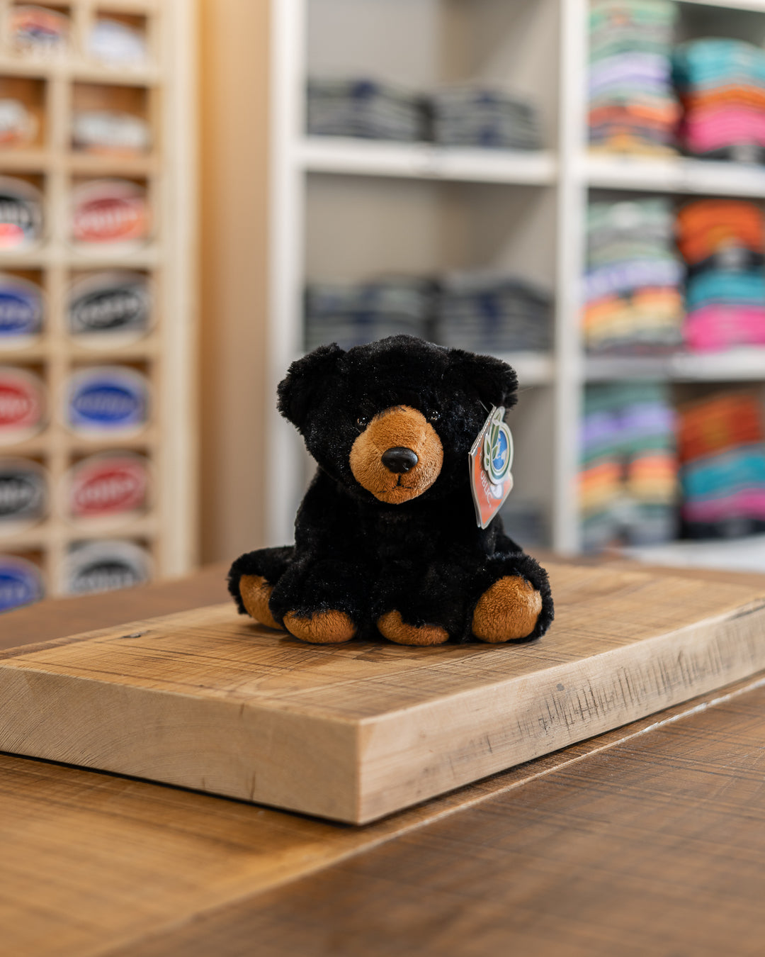 Mini Black Bear