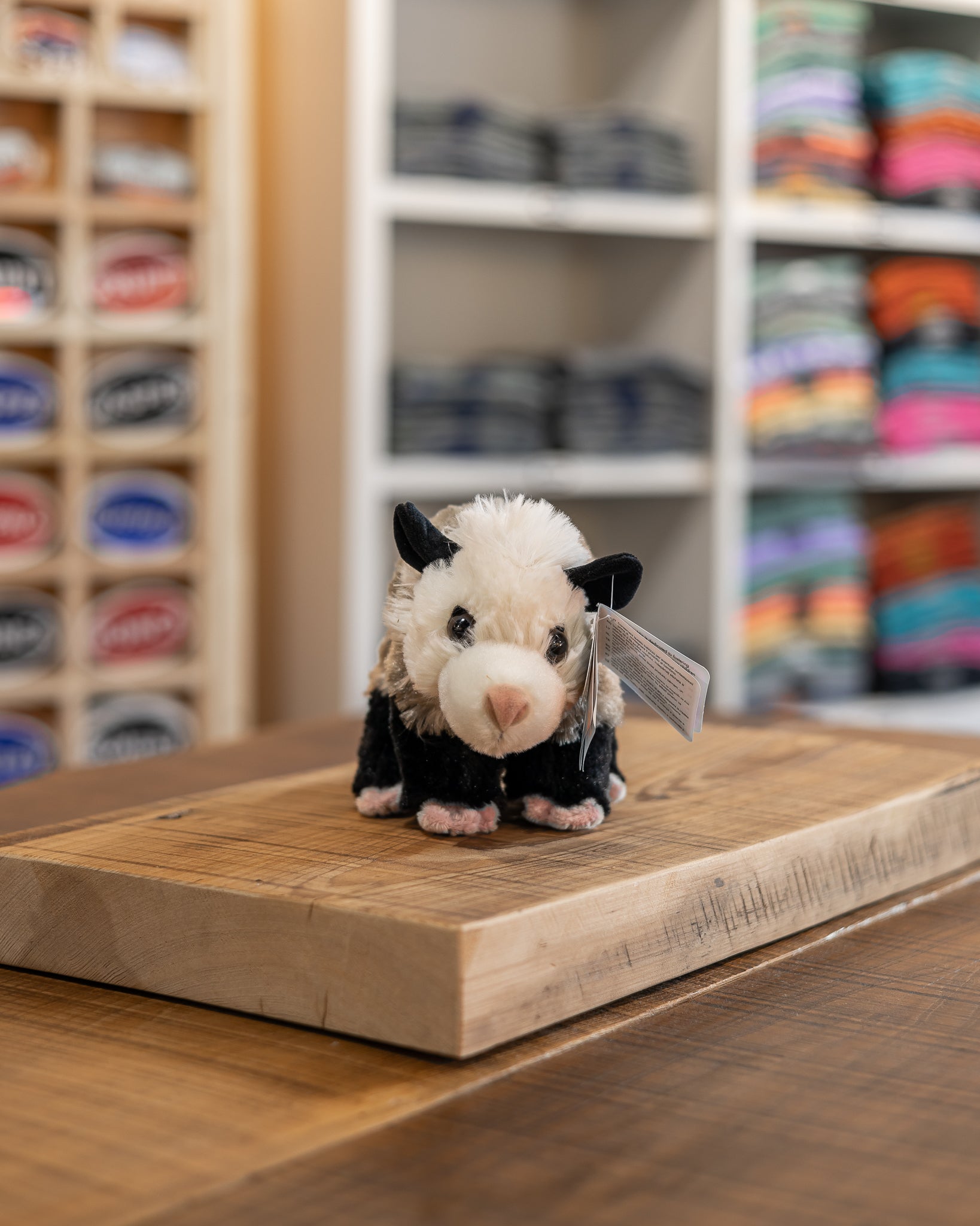 MINI OPOSSUM