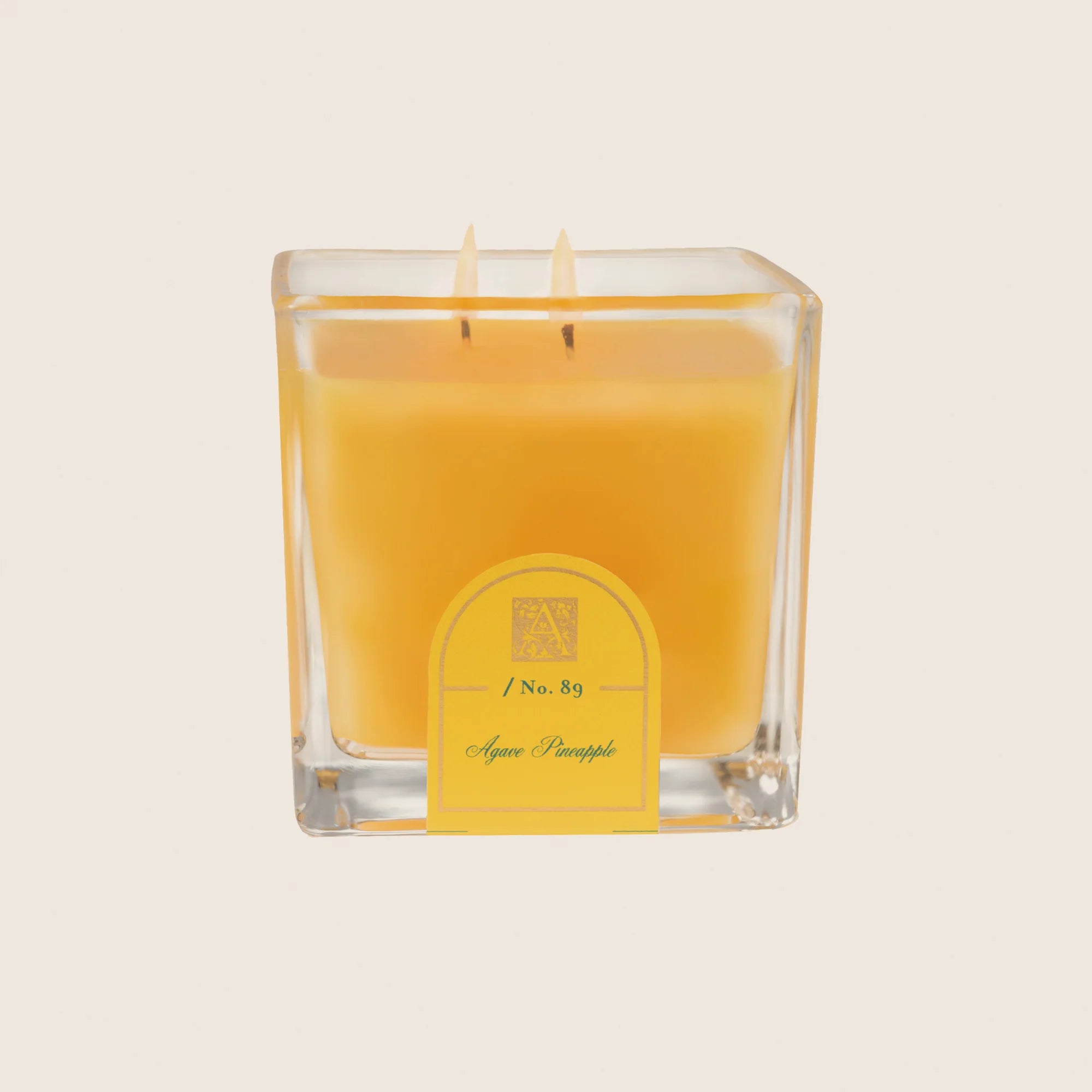 Agave Pineapple - Cube Glass Candle
