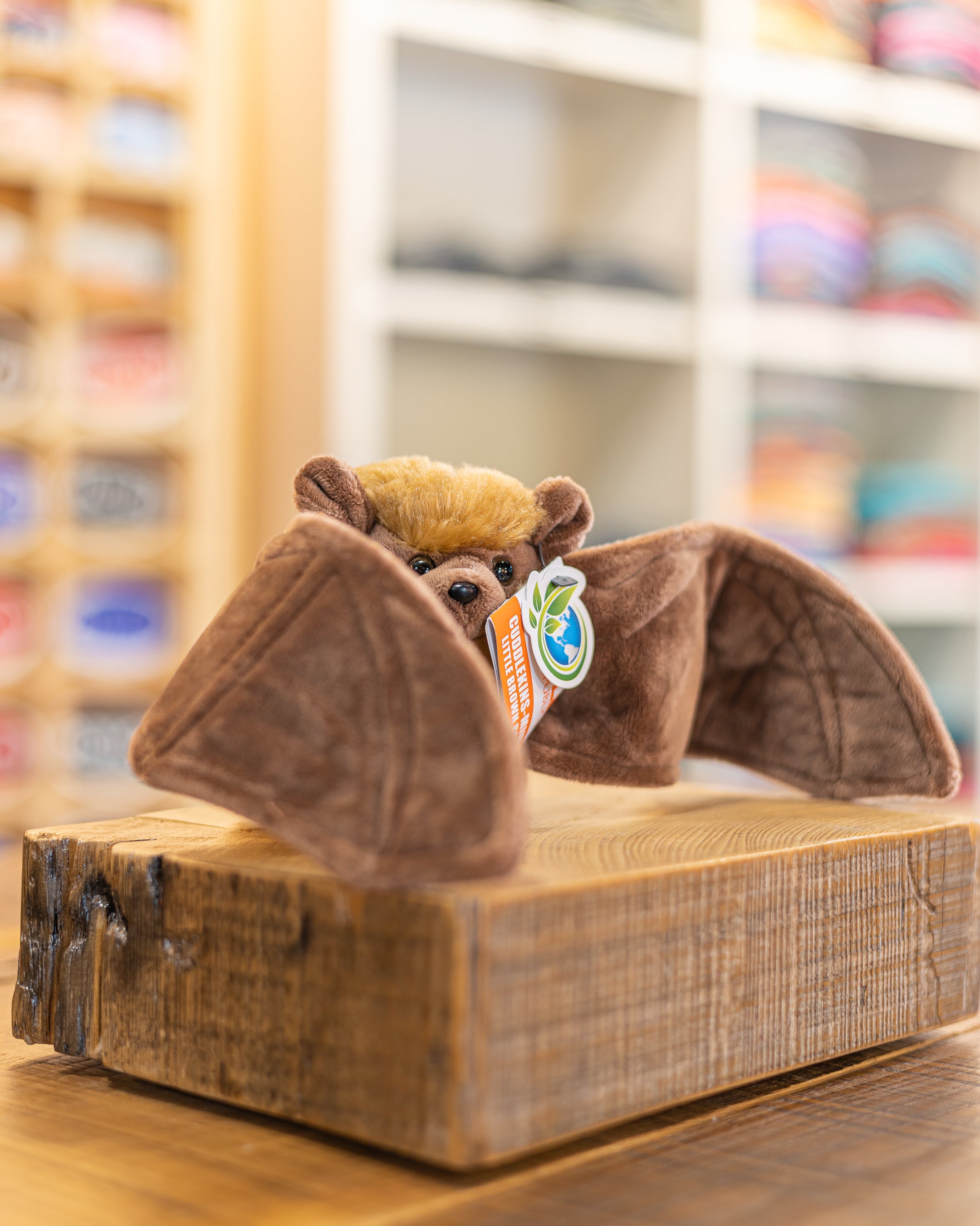 MINI BROWN BAT