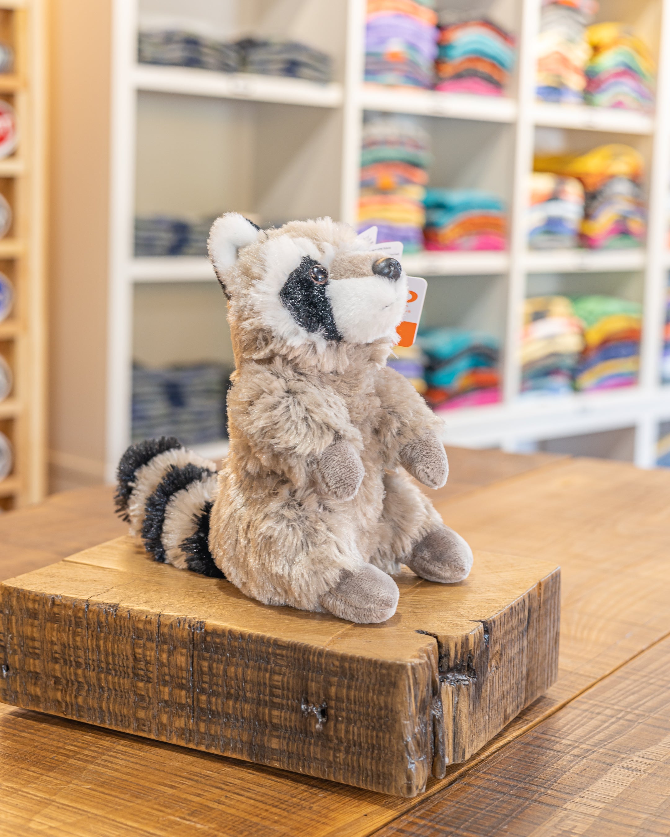 MINI RACOON