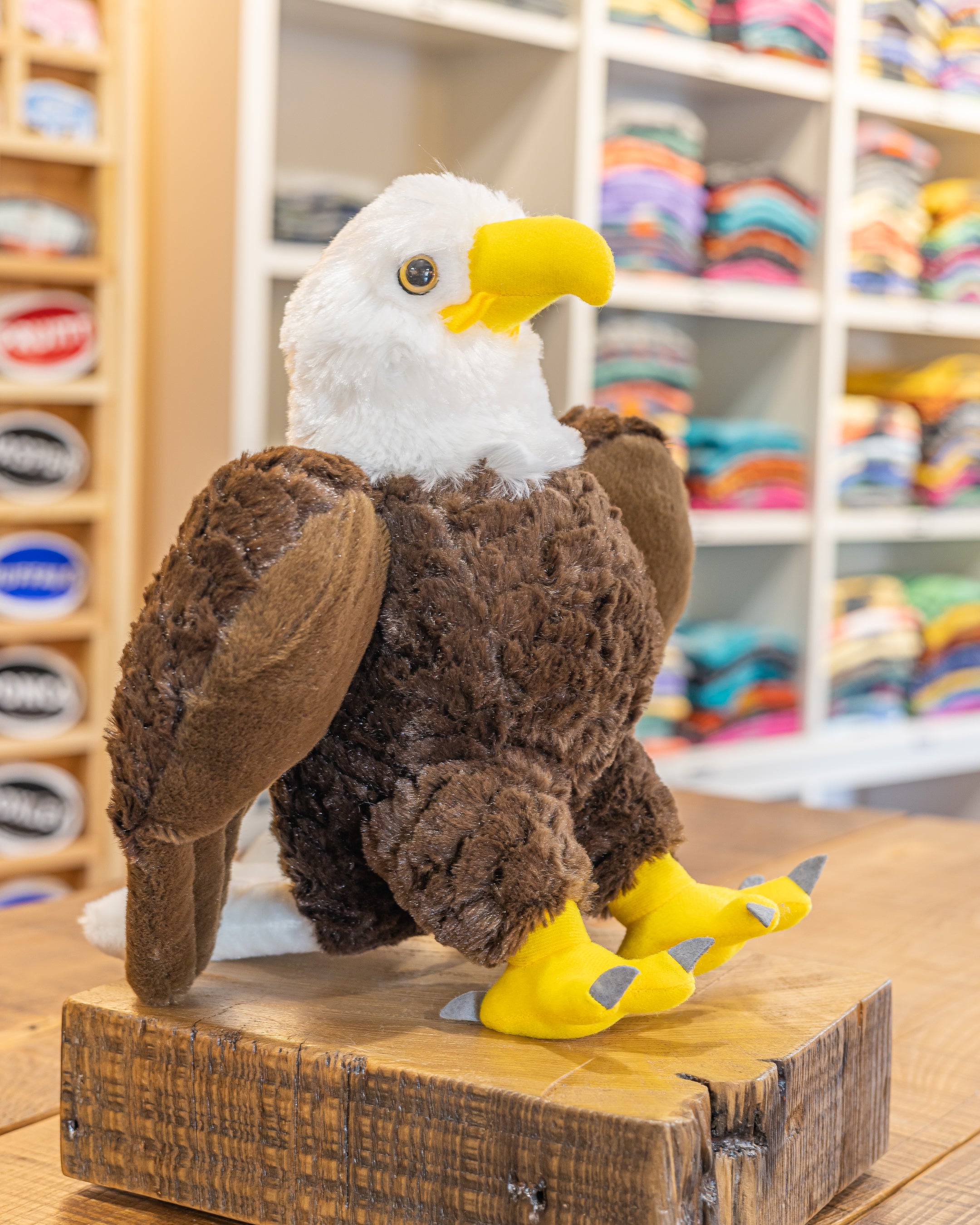 BALD EAGLE