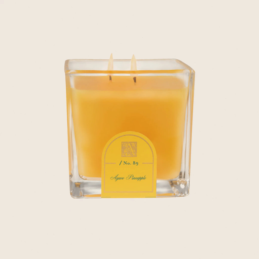 agave ananas AROM AGAVE PNAPL CUBE