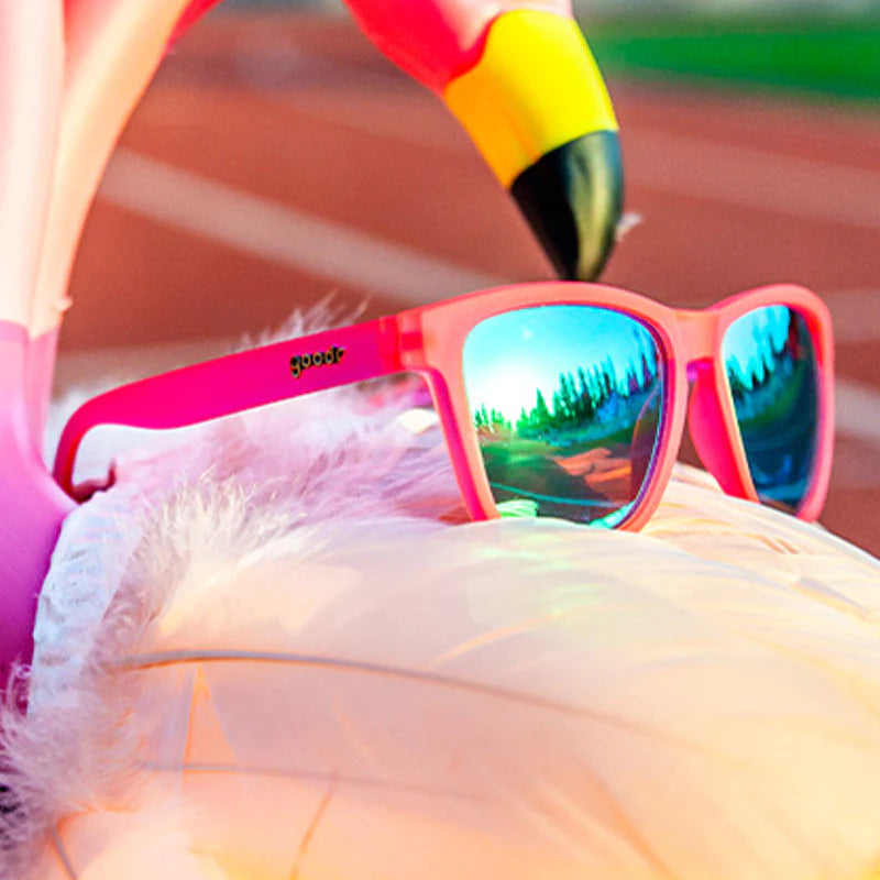 FLAMINGOS ON A BOOZE CRUISE SG