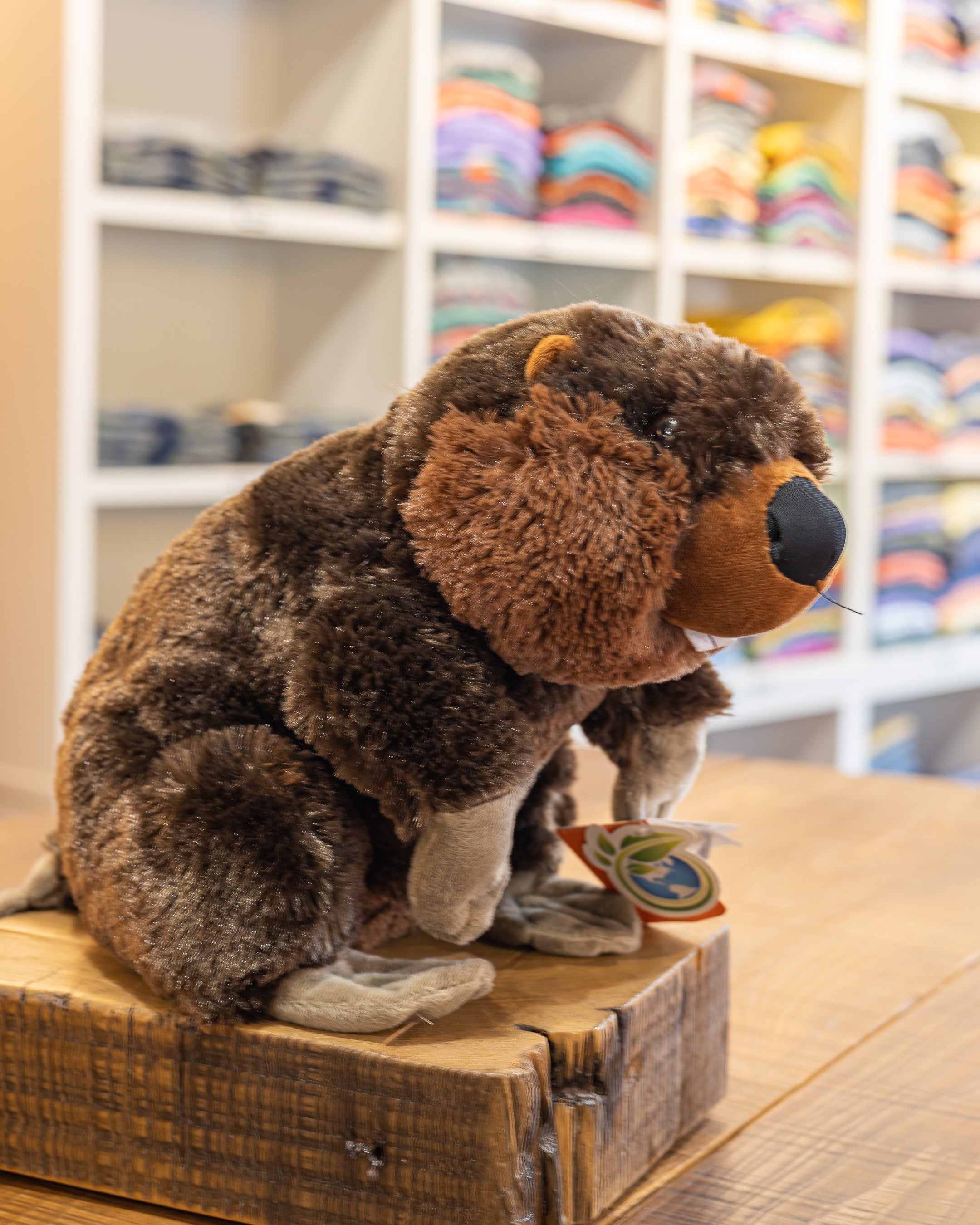 BEAVER